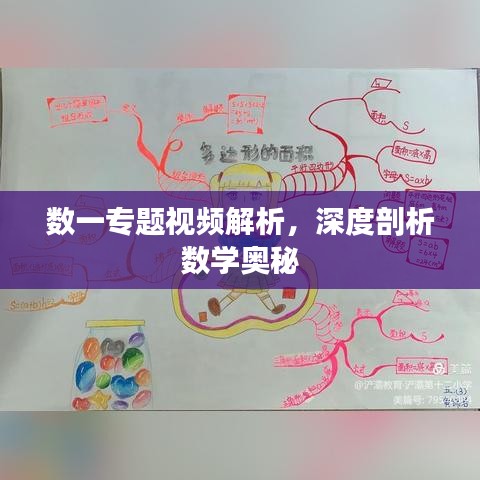 数一专题视频解析,深度剖析数学奥秘