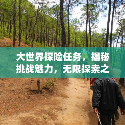 大世界探险任务,揭秘挑战魅力,无限探索之旅