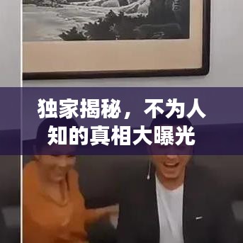 独家揭秘,不为人知的真相大曝光