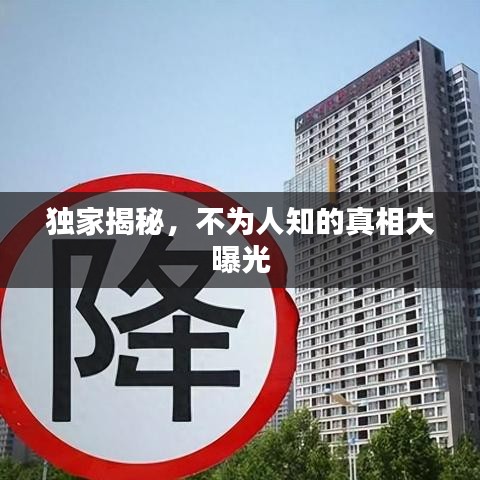 独家揭秘,不为人知的真相大曝光