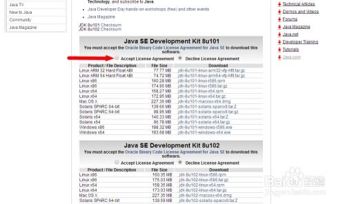 2025年11月17日 第5页