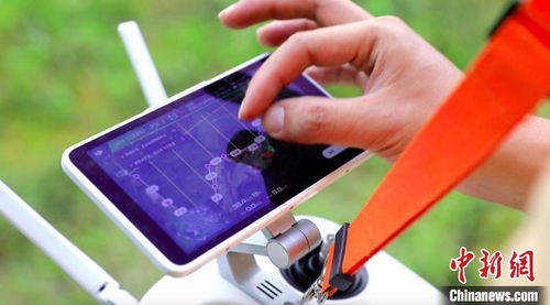 最老版本奇迹,全面执行分析数据&专家版_v6.442