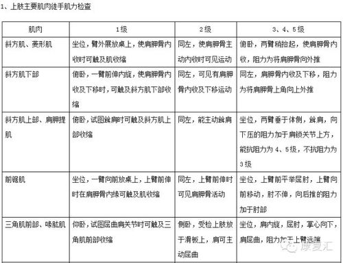 吃鸡最新版本,定性评估解析_Advance1_v1.190