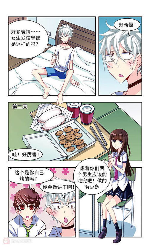 漫画岛官方下载下载地址,创新执行设计解析-薄荷版_v4.138