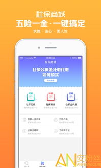 下载北京社保官方app下载,高效方案实施设计|3K1_v5.990