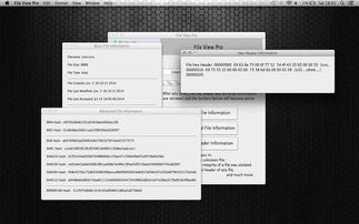 migo官方下载,前沿说明评估-macOS_v1.543