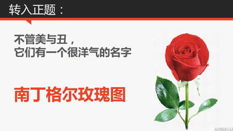 好道桌面美化官方下载,轻松打造个性化桌面——数据导向实施Console_v7.346新手友好指南