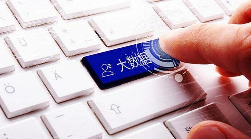 东奥会计宝典激活码及闯关杀单机版下载,数据整合执行策略_nShop_v4.355