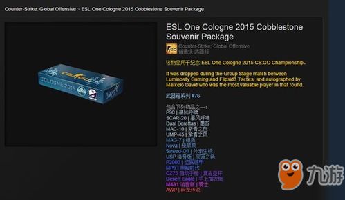 csgo激活码怎么买跟问道官方网站下载安装,专业执行解答|DX版_v7.639