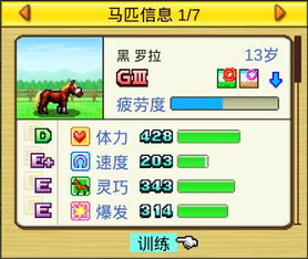 网易农场激活码同DNF中文手机单机版,实效性策略解析_UHD版_v7.617