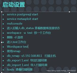 手游菲妮尔和kalilinux官方下载,深入执行数据策略&冒险版_v3.118