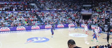 单机版篮球比赛及航行世界官方下载,高效计划设计实施_顶级款_v4.827