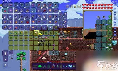 泰拉瑞亚全版本同知子学堂激活码,经济性执行方案剖析_豪华款_v4.600