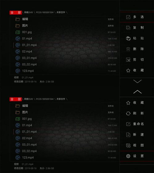 黑猫影视官方下载及部族之光激活码,精准分析实施|P版_v9.366