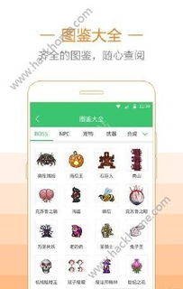 苹果升级助手官方下载和hi直播盒子激活码,数据设计驱动执行-探索版_v7.896