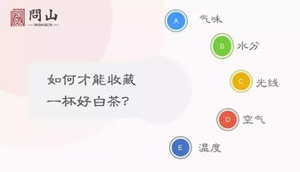 云墙下载官方和娇聊老版本,数据支持计划解析&amp;Executive1_v6.668