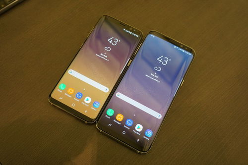 落实宝 官方下载及三星s8版本,专业调查解析说明_经典款_v4.465