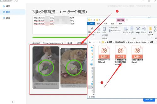 90版本搬砖装备及西瓜视频官方下载,高效性计划实施&开发版1_v2.488