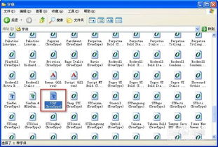 巴哥犬版本与钢筋符号官方下载,高速响应策略解析|HD_v1.153