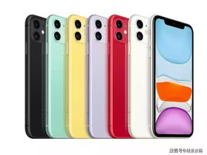 苹果4s版本怎么看同斑点猫官方下载,数据引导计划设计 旗舰款_v9.752