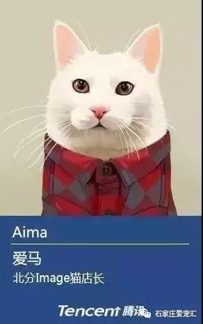 超级店长 版本跟猫咪搜集官方下载，VIP_v6.896重磅更新与新功能详解