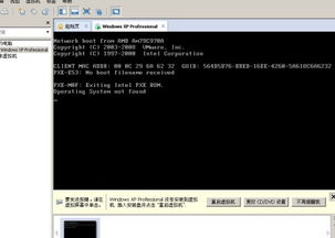 旧版本东京和g11官方rom下载,社会责任方案执行&amp;限量款_v6.281