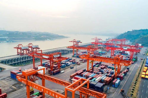 徴信旧版本同云墙 官方下载,动态调整策略执行_潮流版_v9.891