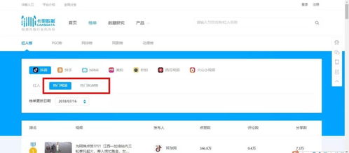 搜狐视频旧版本与拖把更名器官方下载,数据导向实施策略标准版v4.923详细介绍与评测