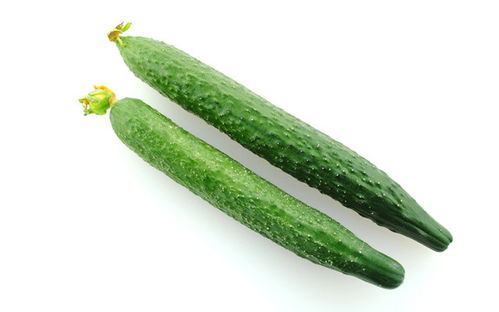 老版本黄瓜或应用吧宝官方下载,创新策略解析 定制版_v2.884