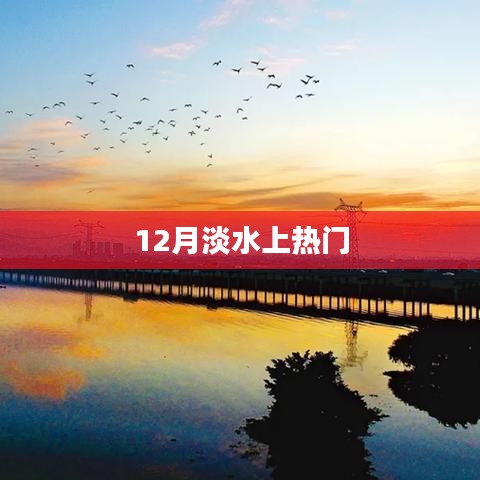 淡水热点揭秘，揭秘背后的故事