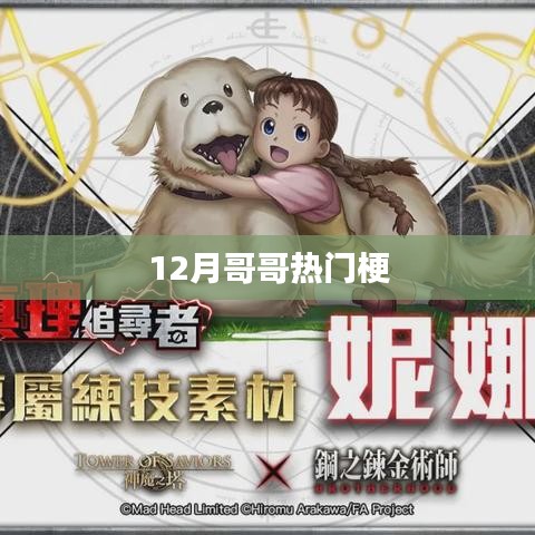 哥哥热梗大盘点，12月流行语回顾