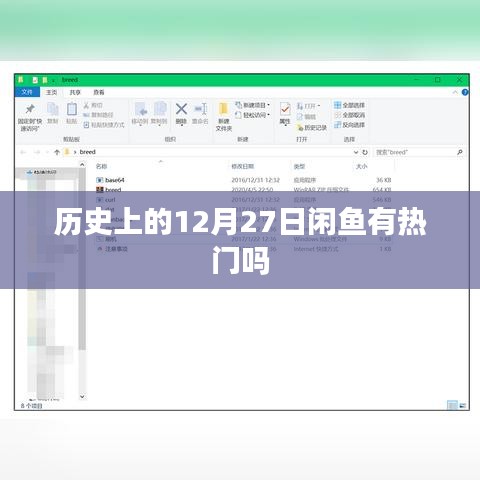 闲鱼热门历史回顾，揭秘十二月二十七日盛况
