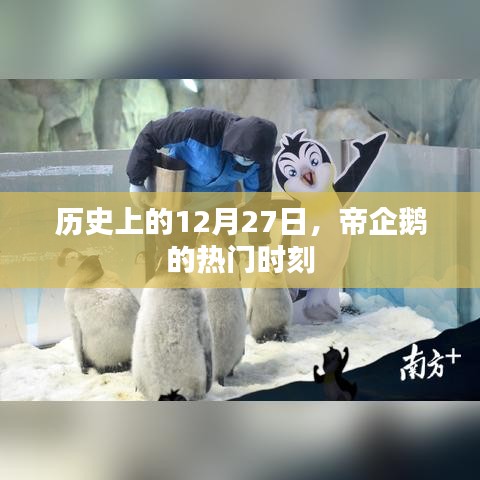 帝企鹅热门时刻，历史上的12月27日纪念
