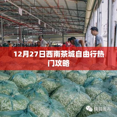 西南茶城自由行指南，热门攻略揭秘