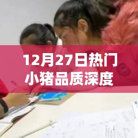 12月27日热门小猪品质深度解读