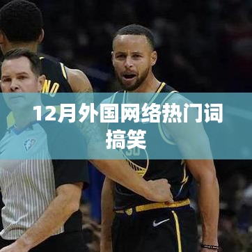 12月国际网络流行搞笑词汇盘点