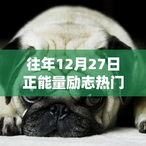励志情感语录，年末正能量，温暖心灵的话语
