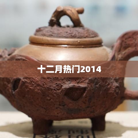 十二月热门事件回顾 2014年不容错过