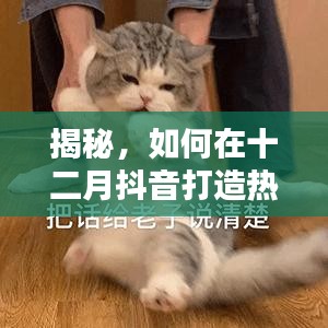 揭秘抖音十二月打造热门视频秘诀