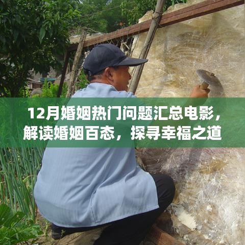 婚姻热门问题电影解读，探寻幸福之道