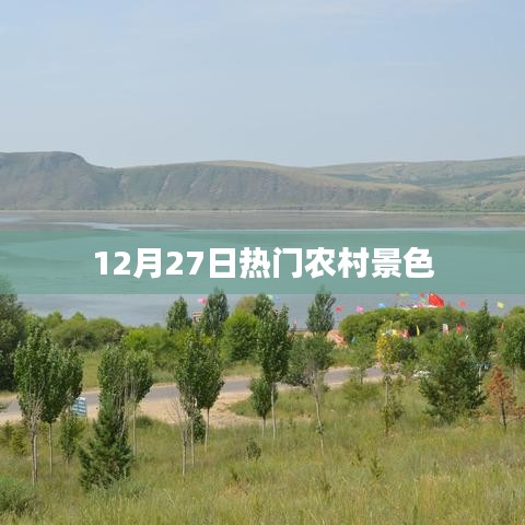 放生通知 第142页