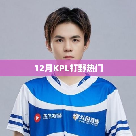 揭秘十二月KPL打野英雄热门榜！