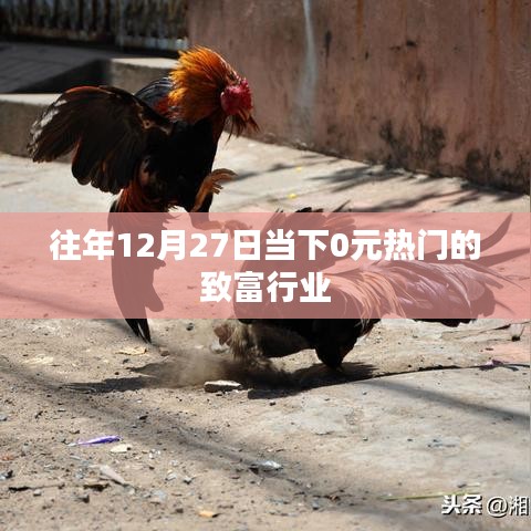 年末致富热点，揭秘零成本热门行业致富秘诀