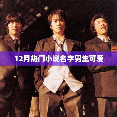 冬季男生可爱小说推荐榜TOP榜