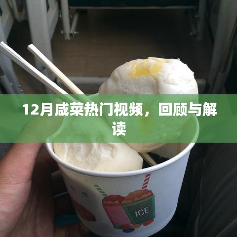 12月咸菜热门视频回顾与解读，一网打尽精彩瞬间