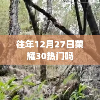 荣耀30在往年12月27日的热门程度回顾