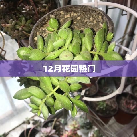 活物掠影 第137页