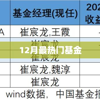 12月热门基金榜单揭晓