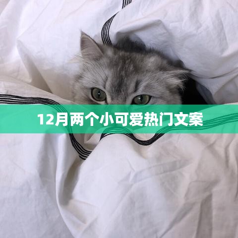 12月限定，两个可爱宝贝的温馨瞬间