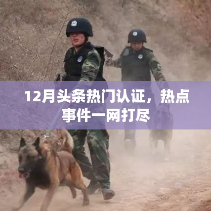 12月头条热门事件全解析，一网打尽热点认证